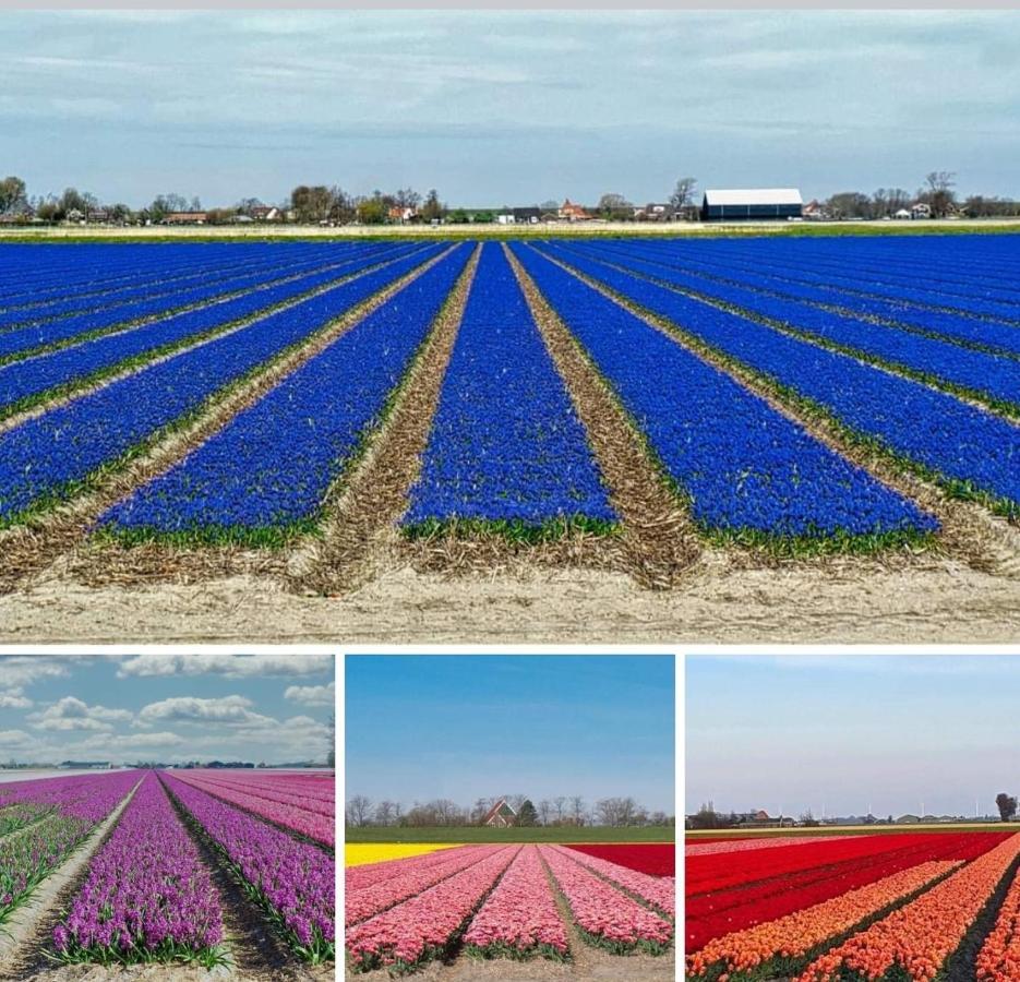 Luxe Bloemenzicht 4 Personen, Bnb, 10 Minuten Van Zee Breezand Luaran gambar